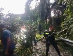 Diguyur Hujan Deras, Kapolsek Bumi Ratu Nuban Pimpin Langsung Evakuasi Pohon Tumbang di Jalinteng