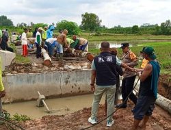 Polisi dan Warga Bahu-Membahu, Jembatan Putus di Way Seputih Kembali Dapat Dilalui