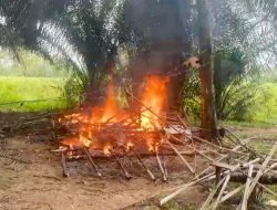 Polisi Bongkar Gubuk Diduga Lokasi Pesta Sabu di Gunung Sugih, Pelaku Masih Diburu