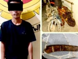 Curi 14 Tandan Sawit Milik PT GMP, Pelaku Diamankan Polsek Seputih Mataram